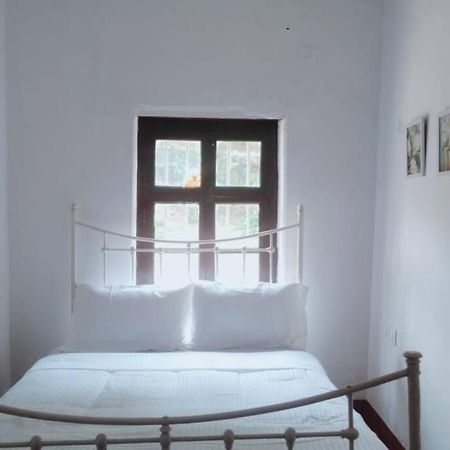 A Quaint Cottage With Rajah'S Seat View. Madikeri Eksteriør billede