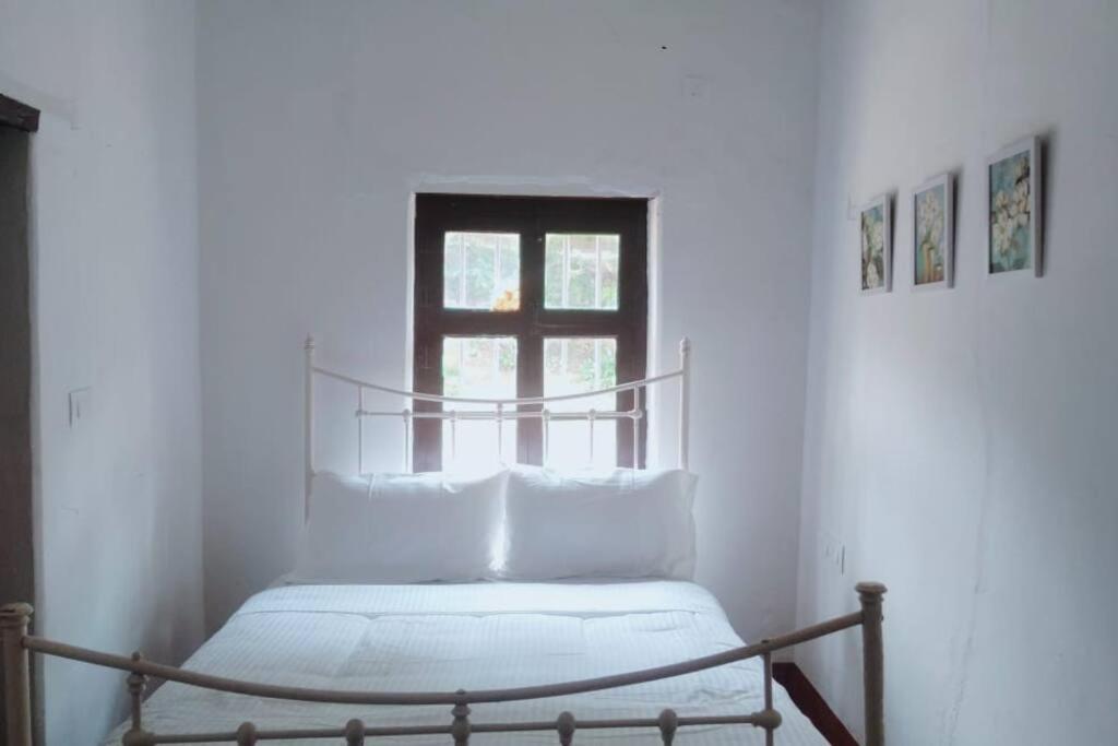 A Quaint Cottage With Rajah'S Seat View. Madikeri Eksteriør billede