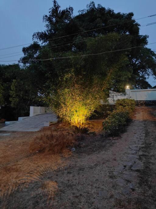 A Quaint Cottage With Rajah'S Seat View. Madikeri Eksteriør billede