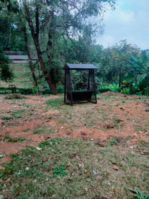A Quaint Cottage With Rajah'S Seat View. Madikeri Eksteriør billede